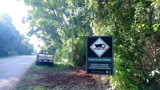 Medidas en el PN Iguazú para evitar la muerte de animales en la ruta
