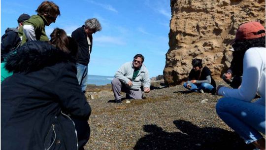 Encuentran restos fósiles de un milenario cardumen de peces en Mar del Plata