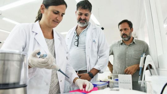 Científicos argentinos desarrollan tests para acelerar pruebas médicas